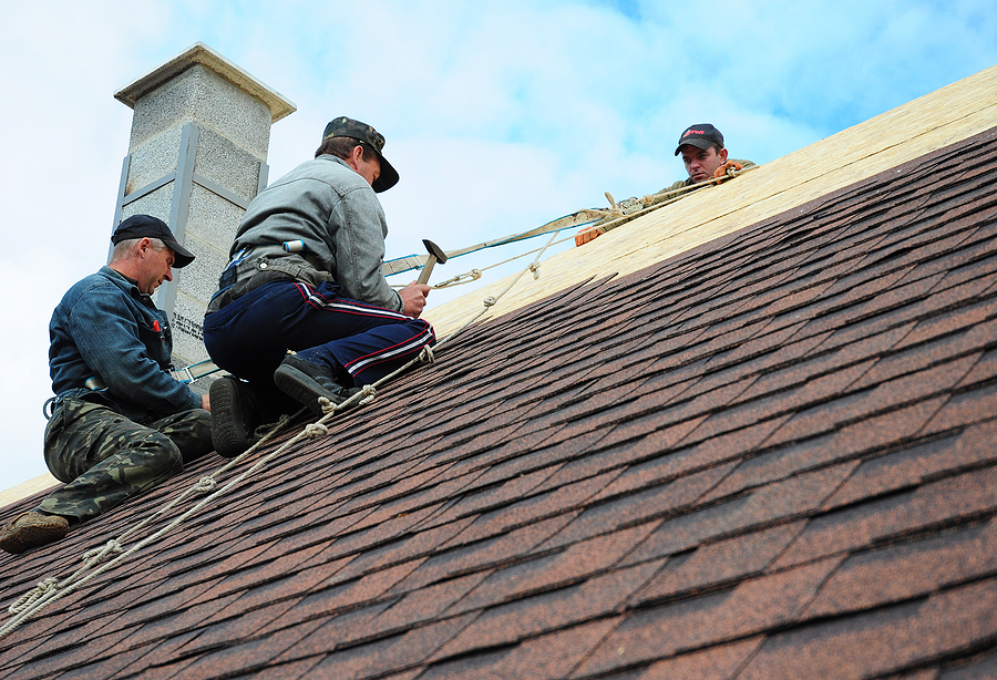 Roofers working on a steep shingled roof, using ropes for safety while installing new shingles.